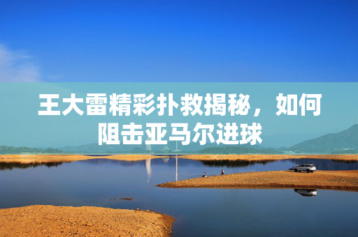 王大雷精彩扑救揭秘，如何阻击亚马尔进球