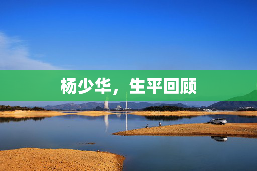 杨少华，生平回顾