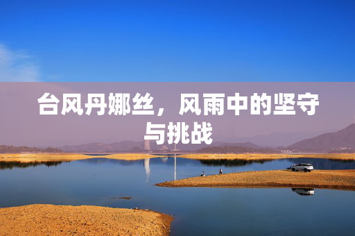 台风丹娜丝，风雨中的坚守与挑战