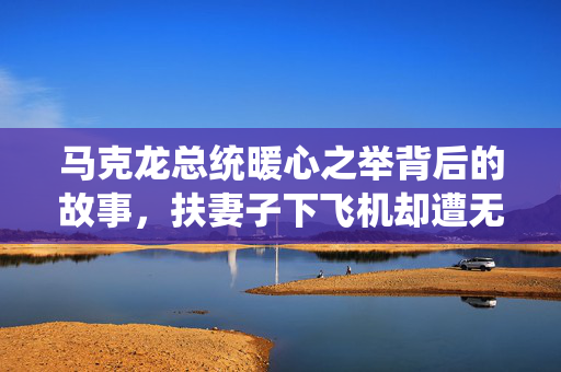 马克龙总统暖心之举背后的故事，扶妻子下飞机却遭无视的瞬间