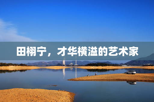 田栩宁，才华横溢的艺术家