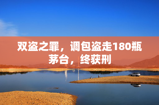 双盗之罪，调包盗走180瓶茅台，终获刑