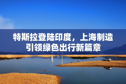 特斯拉登陆印度，上海制造引领绿色出行新篇章