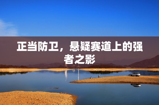 正当防卫，悬疑赛道上的强者之影