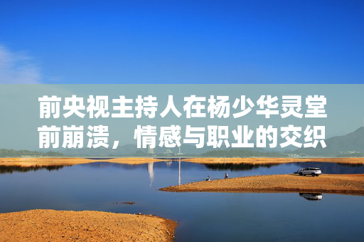 前央视主持人在杨少华灵堂前崩溃，情感与职业的交织瞬间