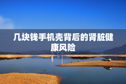 几块钱手机壳背后的肾脏健康风险