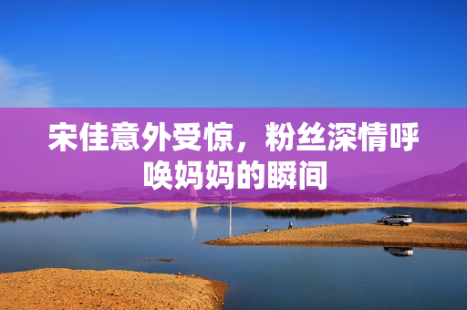 宋佳意外受惊，粉丝深情呼唤妈妈的瞬间