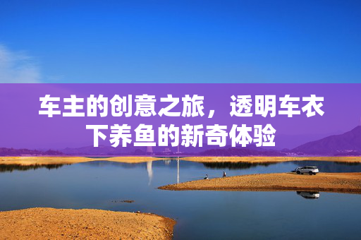 车主的创意之旅，透明车衣下养鱼的新奇体验