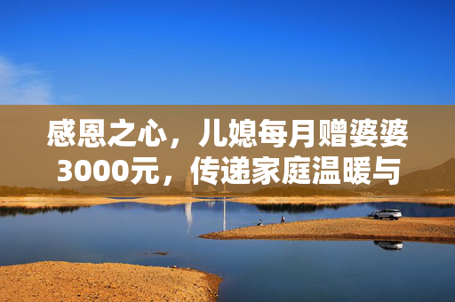 感恩之心，儿媳每月赠婆婆3000元，传递家庭温暖与感激之情