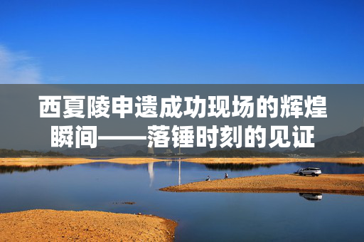 西夏陵申遗成功现场的辉煌瞬间——落锤时刻的见证