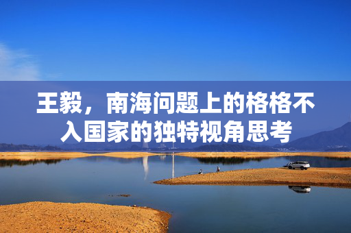 王毅，南海问题上的格格不入国家的独特视角思考