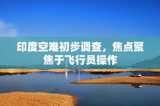 印度空难初步调查，焦点聚焦于飞行员操作