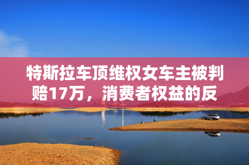 特斯拉车顶维权女车主被判赔17万，消费者权益的反思与展望