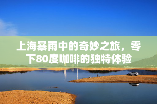 上海暴雨中的奇妙之旅，零下80度咖啡的独特体验