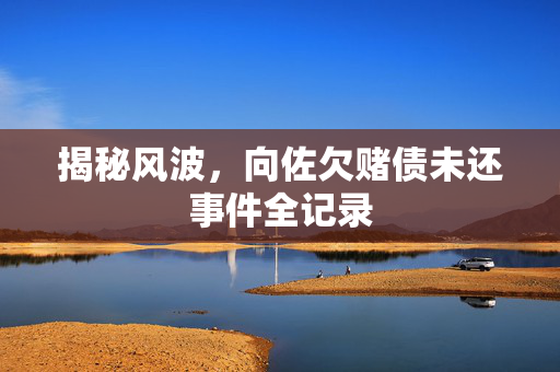 揭秘风波，向佐欠赌债未还事件全记录