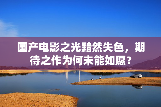 国产电影之光黯然失色，期待之作为何未能如愿？