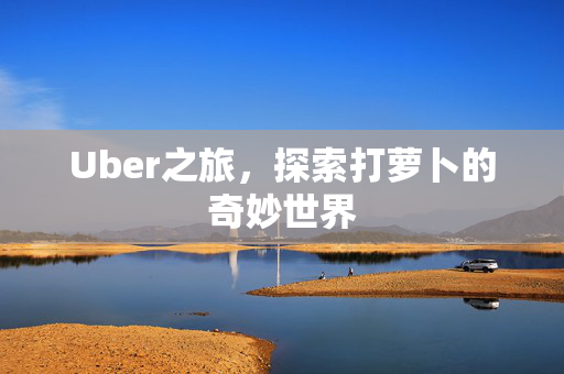Uber之旅，探索打萝卜的奇妙世界