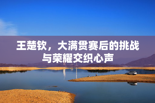 王楚钦，大满贯赛后的挑战与荣耀交织心声