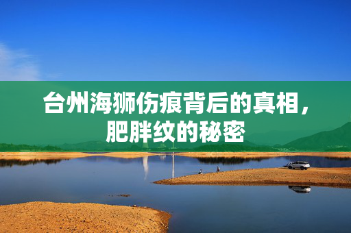 台州海狮伤痕背后的真相，肥胖纹的秘密