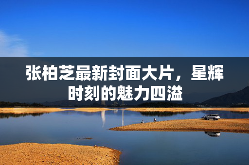 张柏芝最新封面大片，星辉时刻的魅力四溢