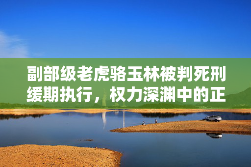 副部级老虎骆玉林被判死刑缓期执行，权力深渊中的正义胜利