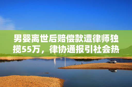 男婴离世后赔偿款遭律师独揽55万，律协通报引社会热议