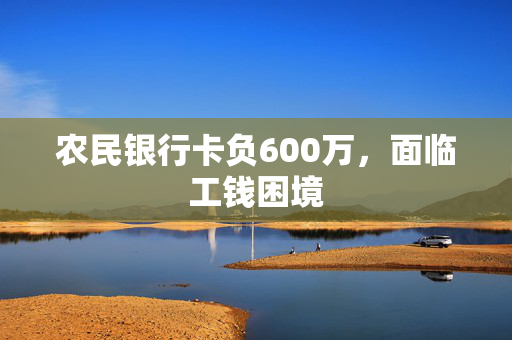 农民银行卡负600万，面临工钱困境