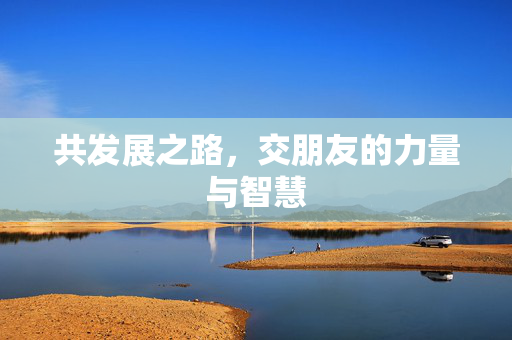 共发展之路，交朋友的力量与智慧