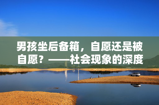 男孩坐后备箱，自愿还是被自愿？——社会现象的深度解析