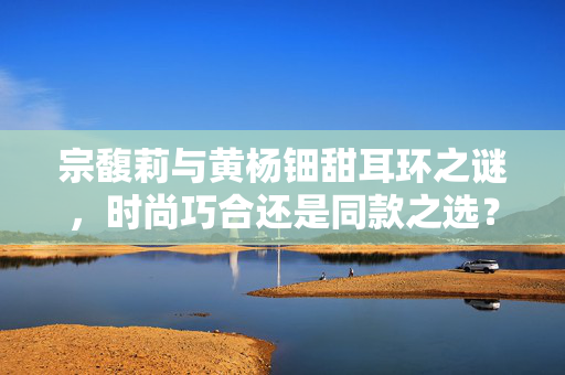 宗馥莉与黄杨钿甜耳环之谜，时尚巧合还是同款之选？