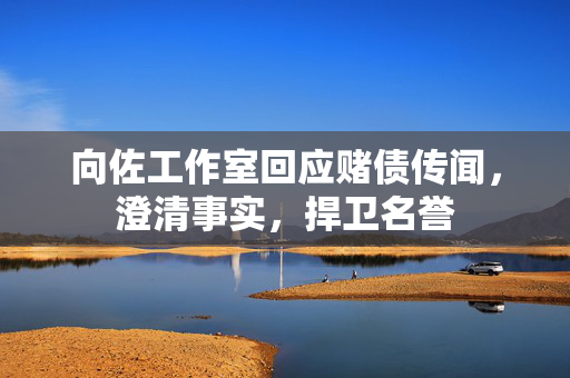 向佐工作室回应赌债传闻，澄清事实，捍卫名誉