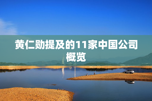 黄仁勋提及的11家中国公司概览