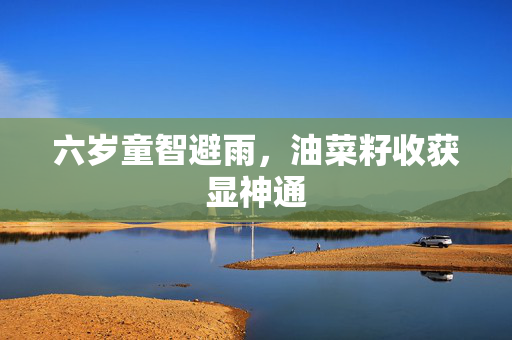 六岁童智避雨，油菜籽收获显神通