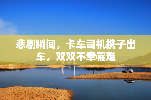 悲剧瞬间，卡车司机携子出车，双双不幸罹难
