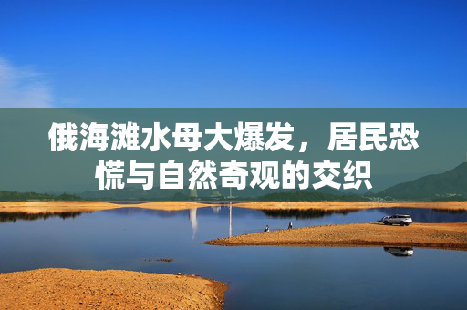 俄海滩水母大爆发，居民恐慌与自然奇观的交织