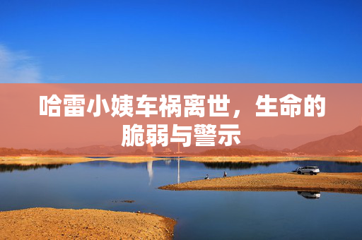 哈雷小姨车祸离世，生命的脆弱与警示