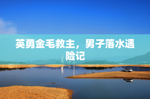 英勇金毛救主，男子落水遇险记
