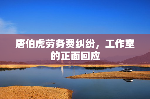 唐伯虎劳务费纠纷，工作室的正面回应