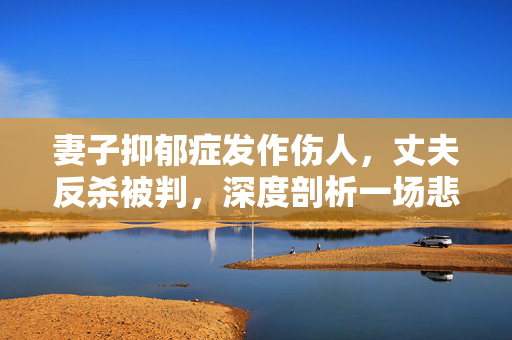 妻子抑郁症发作伤人，丈夫反杀被判，深度剖析一场悲剧的背后