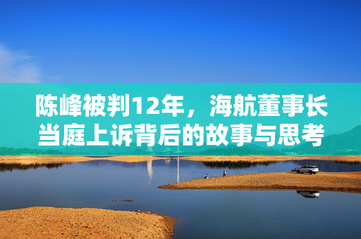 陈峰被判12年，海航董事长当庭上诉背后的故事与思考