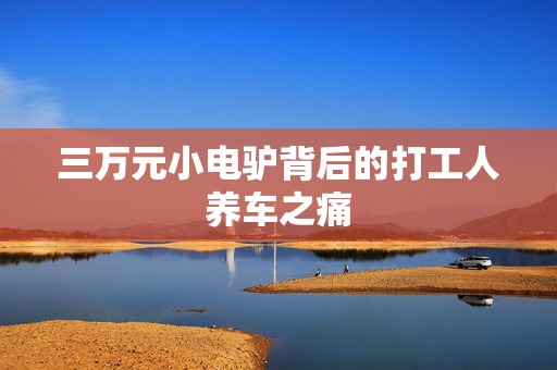 三万元小电驴背后的打工人养车之痛