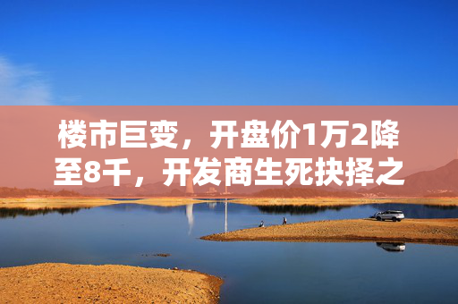 楼市巨变，开盘价1万2降至8千，开发商生死抉择之际的楼市风云