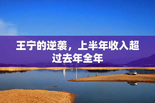 王宁的逆袭，上半年收入超过去年全年
