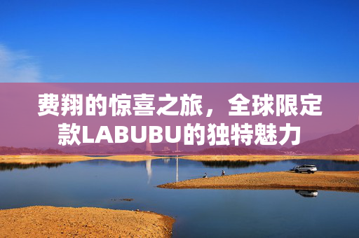 费翔的惊喜之旅，全球限定款LABUBU的独特魅力