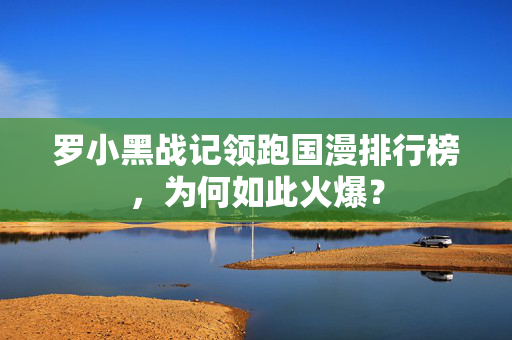 罗小黑战记领跑国漫排行榜，为何如此火爆？