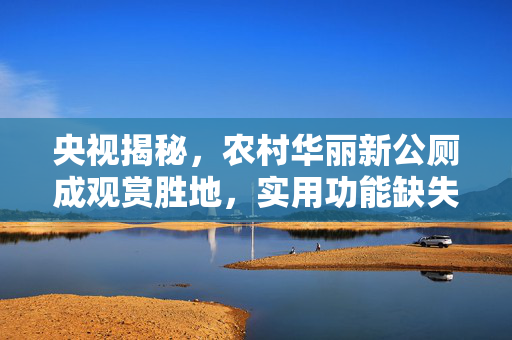央视揭秘，农村华丽新公厕成观赏胜地，实用功能缺失引关注