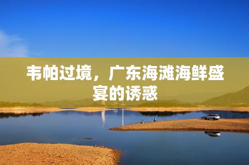 韦帕过境，广东海滩海鲜盛宴的诱惑