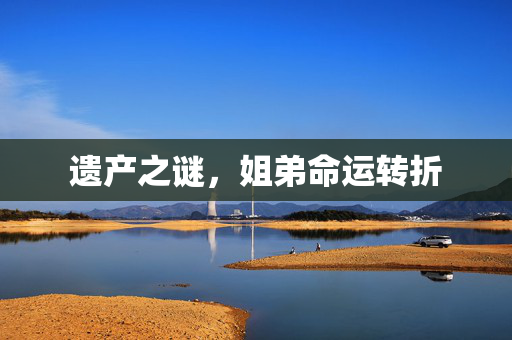 遗产之谜，姐弟命运转折