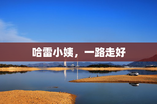 哈雷小姨，一路走好