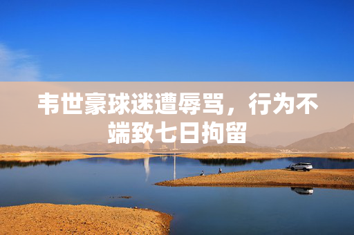 韦世豪球迷遭辱骂，行为不端致七日拘留